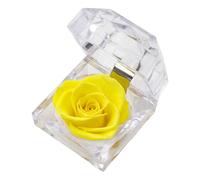 Oxxggkao Joyero transparente de rosas preservadas que permite una fácil visualización y almacenamiento ordenado de artículos de joyería en diseños portátiles, organizadores de joyas de viaje