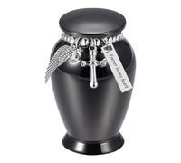 Oxxggkao Urna para cenizas de mascotas, aleación de aluminio, cubierta roscada, cuchara y cadena para recuerdos, urna de acero