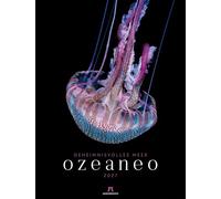 Ozeaneo Kalender 2027 | Geheimnisvolles Meer: Bildstarker Unterwasser-Kalender im großen Hochformat (50x66 cm) | Mit wissenschaftlichen Informationen