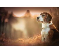 OZLHSP Maravilloso Desastre Puzzle 500 Piezas Animales Beagle 52x38cm