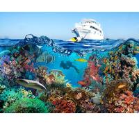 OZLHSP Maravilloso Desastre Puzzle 500 Piezas Yate de Buceo con Peces y Animales 52x38cm