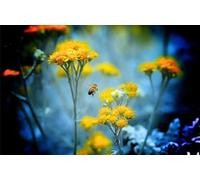 OZLHSP puzle de 500 Piezas Abejas Insectos Animales 52x38cm