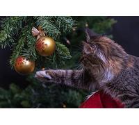 OZLHSP Puzzle niña Puzzle 500 Piezas El Gato se comió a los Animales 52x38cm