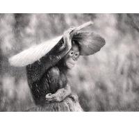 OZLHSP Puzzles 3D 500 Piezas Monos Orangutanes Animales 52x38cm