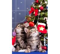 OZLHSP Super Puzzle 1000 Piezas Gatitos 75x50cm