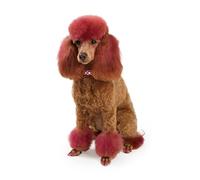 OZLHSP Super Puzzle 1500 Piezas Caniche Animal 87x57cm