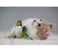 OZLHSP Super Puzzle 500 Piezas Animales 52x38cm