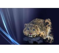 OZLHSP Super Puzzle 500 Piezas Animales Grandes 52x38cm