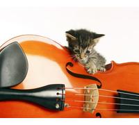 OZLHSP Super Puzzle 500 Piezas Gatitos Violín Animal 52x38cm