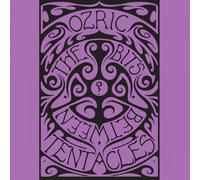 Ozric Tentacles - The Bits Between The Bits