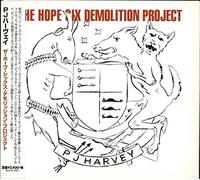 P.J. Harvey - Hope Six Demolition Project