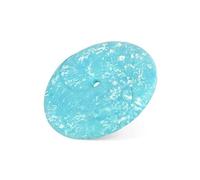 P.L.A.Y. PET LIFESTYLE AND YOU Pet Flying Discs L