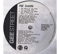P.M. Dawn - The Ways Of The Wind