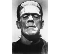P ster de la pel cula Frankenstein (Boris Karloff en primer plano) - 24 x 36