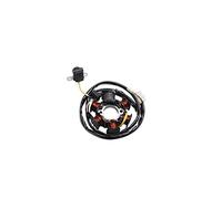 P2R (Motoris ) STATOR ALLUMAGE Scoot Adaptable Peugeot 50 TKR, Trekker, SPEEDFIGHT, Vivacity 2T, BUXY, X-Fight, ELYSEO, LOOXOR-PGO 50 Big MAX (6 Poles)