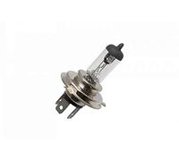 P2R (Motorisé) Ampoule/Lampe 12V 35/35W Norme H4 Culot P43T Standard Blanc (Projecteur) - Notre Selection