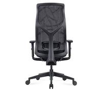 P9IDEDFH Ergonomic Chair Home Office Computer Chair Lunch Break Reclining Study Chair Office Furniture(Color:Black)