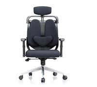 P9IDEDFH Ergonomic Computer Chair Home Office Chair Boss Chair Student Chair Gaming Chair Reclining Waist Double Back Chair (Color : Fabric-Blue)