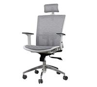 P9IDEDFH Ergonomic Office Chair Latex Mesh Computer Chair Backrest Boss Chair Office Furniture(Color:Grey)
