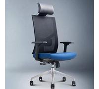 P9IDEDFH Ergonomic Office Chair Swivel Backrest Computer Chair Nylon Feet Adjustable Lifting Armchair Conference Chair Boss Chair (Color : Blue Size : Aluminum Alloy)