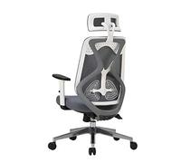 P9IDEDFH High Back Office Chair Ergonomic Swivel Adjustable Height Lift Chair Computer Chair Breathable Mesh Lounge Chair (Color : White)