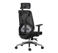 P9IDEDFH Mesh Executive Office Chair Adjustable Height Lift High Back Swivel Computer Chair Ergonomic Breathable Lounge Chair (Color : Black)