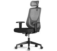 P9IDEDFH Office Chair Mesh Ergonomic Chair Computer Chairs for Home with Adjustable Height Arms Reclining Chair Comfy Chair (Color : Gray)