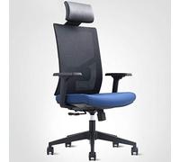 P9IDEDFH Office Chair Mesh High Back Aluminum Alloy Feet Adjustable Lifting Armchair Ergonomic Swivel Computer Chair Conference Chair (Color : Black Size : Aluminum Alloy)