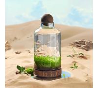 PA-DABAOO Acuario De Cristal con Soporte Y Bola De Madera, Pecera Transparente En Forma De Botella, Paisaje Microecológico, Decoración De Escritorio para El Hogar.,36 * 17cm