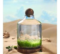 PA-DABAOO Acuario De Cristal con Soporte Y Bola De Madera, Pecera Transparente En Forma De Botella, Paisaje Microecológico, Decoración De Escritorio para El Hogar.,48 * 27cm