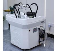 PA-DABAOO Cabeza Equipo De Cascada De Spa, Equipo De Spa De Cabeza Japonesa Con Tanque De Agua De 60 Litros, Equipo De Spa Para La Cabeza, Soporte De Circulación De Agua Del Spa Portátil