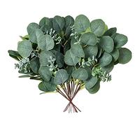 Paaruter 20 Piezas de Tallos de DóLar de Plata Artificiales Hojas de Eucalipto de Seda Espray de Ramas de Eucalipto de ImitacióN Ramitas