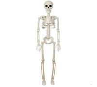 Paaruter Decoración de Esqueleto de Halloween, Esqueleto Articulado de Cuerpo Completo con Articulaciones Móviles, Accesorio Espeluznante para Patio, Jardín, Césped, Patio