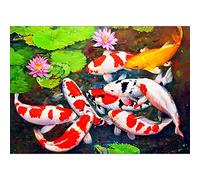 Paaruter Kits de Pintura de Diamante DIY por NúMeros, Pintura de de Estanque de Peces con Diamantes ImáGenes de Lienzo de Taladro Completo