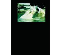 Pablo, The Bear who Saved The Day: Story of Heroic Adventures, Fun and Laughter