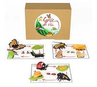 Pacha ECHECS® Juego de Ciclo de Vida de Insectos - Material Educativo Montessori para Aprender la evolución | Herramienta pedagógica | Simulación del Crecimiento | Anatomía | Biología