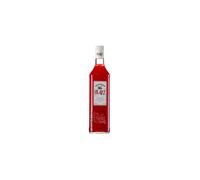 Pacharan olatz 1l 25º