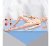 Paciente Enfermería Formación Maniquí Maniquí humano Modelo de cuerpo completo Médico Formación médica Enseñanza Primeros auxilios Maniquí para Formación geriátrica (Upgrade male)