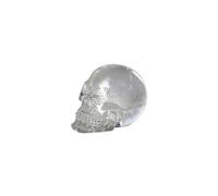 Pacific Giftware 12 Cristal transparente como mini calaveras figuras busto. 1 docena! Decoracin de Halloween Figura coleccionable.