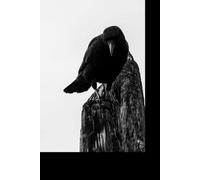 Pacific Northwest Crow: A Minimalist Nature Notebook Inspired by the Wild Coast