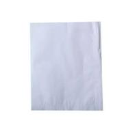 Pack 100 Bolsas de Papel Parafina Microperforado 21x16 cm, para Protección de Fruta melocotón, Fresas, Naranjas (100 Pcs, A)