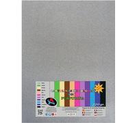 Pack 12 Cartulinas 50x65 Purpurina Plata