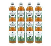 Pack 12x Kombucha ECO té verde y lima Planeta Huerto 330 ml
