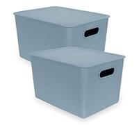 Pack 2 Cestas de Ordenación Multiusos Baobab Collection, Resistentes y Ergonómicas con Tapa. Tamaño XL 22L, Azul Mist