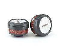 PACK 2 FILTROS CON ROSCA FP ABEK1P3 STEELPRO