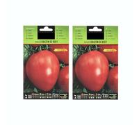 Pack 2 Sobres de Semillas de Tomate Corazón de Buey para Sembrar en Casa