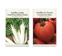 Pack 2 Sobres DECOALIVE: Semillas Acelga y Tomate Buey | Acelga Verde Penca Blanca Ancha y Tomate Corazón de Buey: Para Diversificar el Huerto Doméstico