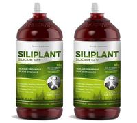 Pack 2 x Silicium G7 Siliplant 1 L (2 L total) - Gel corporal tópico con silicio, textura ligera y absorción rápida, ideal para masaje diario en articulaciones y músculos