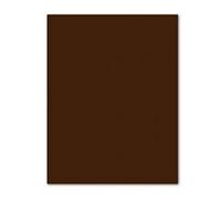 PACK 25 CARTULINAS IRIS 50X65 185G. CHOCOLATE