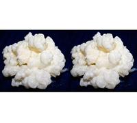 Pack 2X 40g de Hongo/Nódulos Frescos de Kéfir de Leche + Instrucciones + Recetas + Ayuda y Asesoramiento en español - KEFIRALIA®